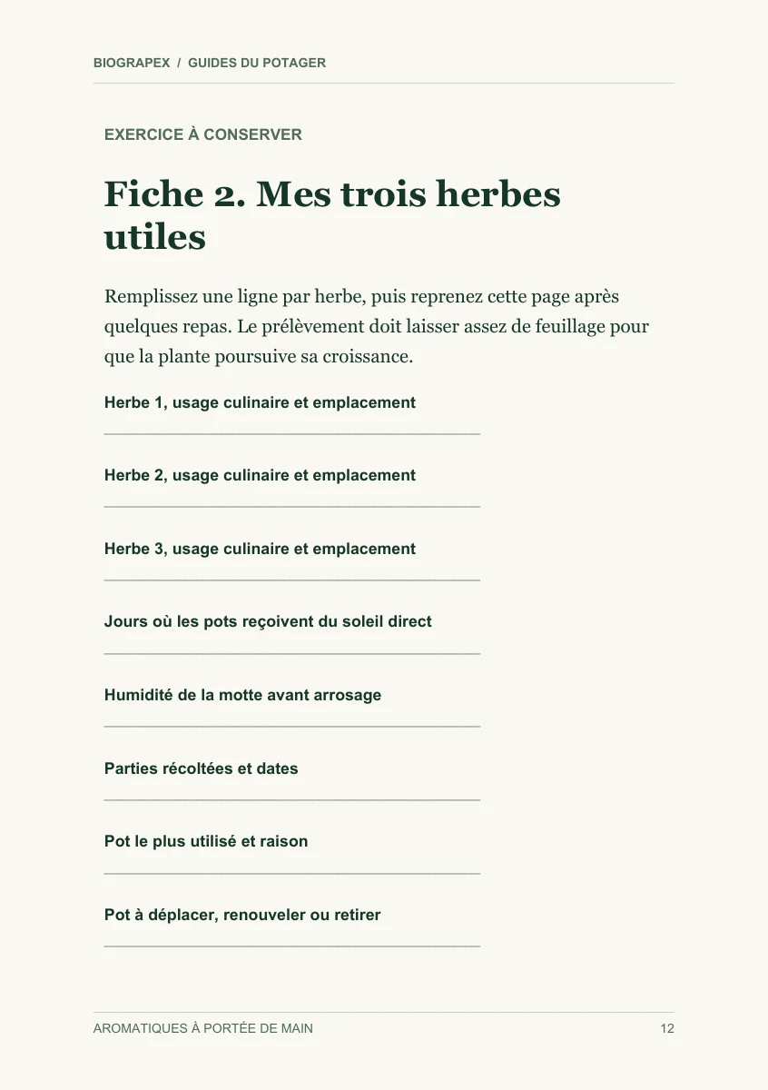 Fiche pratique du guide Aromatiques à portée de main