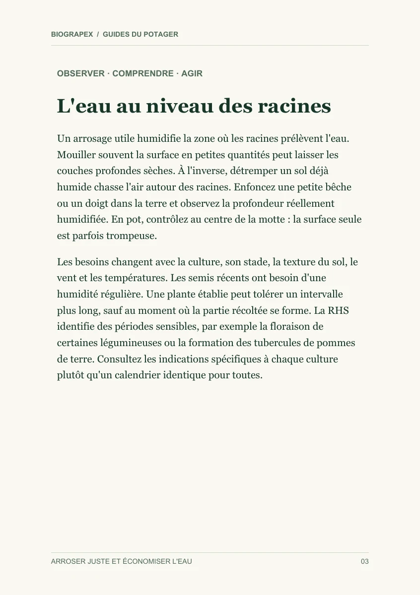 Page intérieure du guide Arroser juste et économiser l'eau : L'eau au niveau des racines