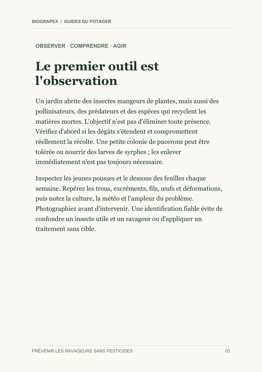 Page intérieure du guide Prévenir les ravageurs sans pesticides : Le premier outil est l'observation