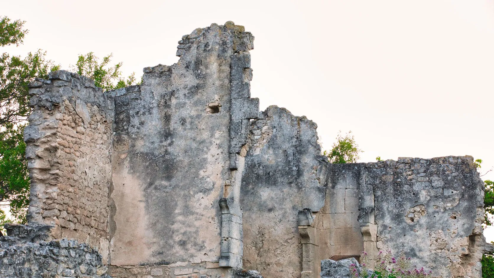 Pans de murs médiévaux en pierre calcaire en ruine, bordés d'arbres et de fleurs roses au premier plan